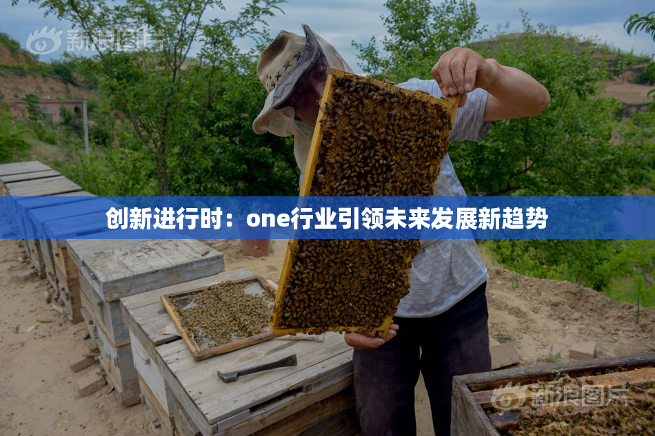 创新进行时：one行业引领未来发展新趋势