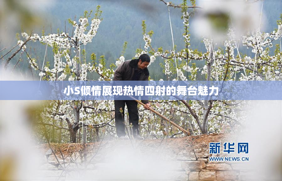 小S倾情展现热情四射的舞台魅力
