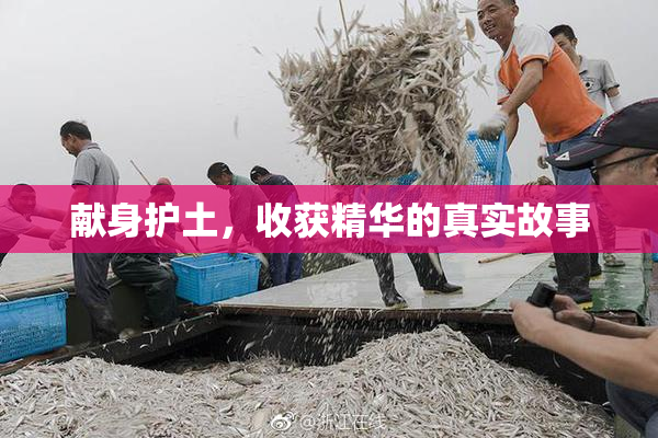 献身护土，收获精华的真实故事