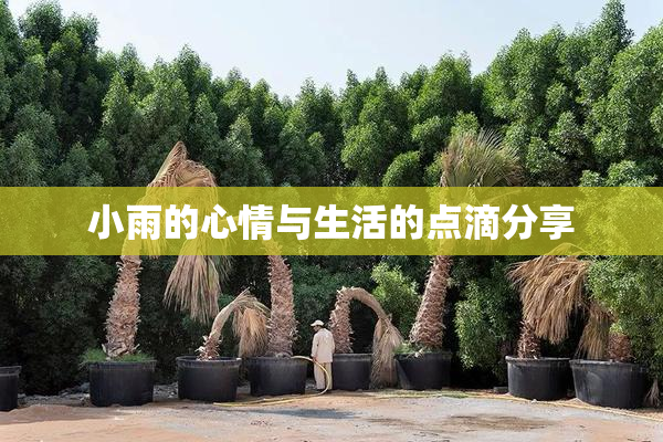 小雨的心情与生活的点滴分享