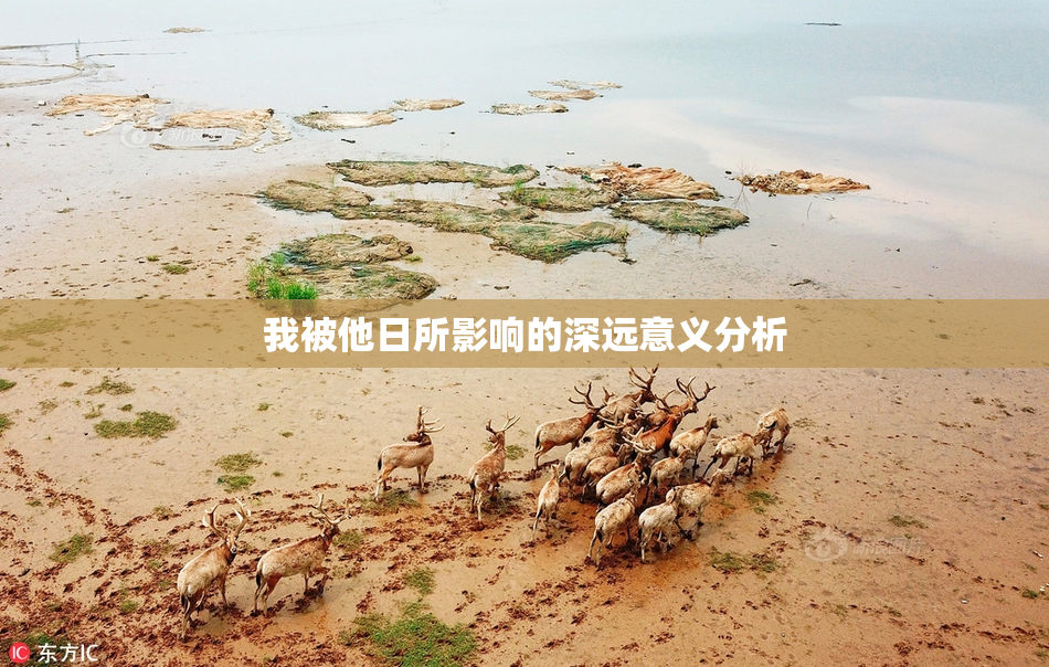 我被他日所影响的深远意义分析