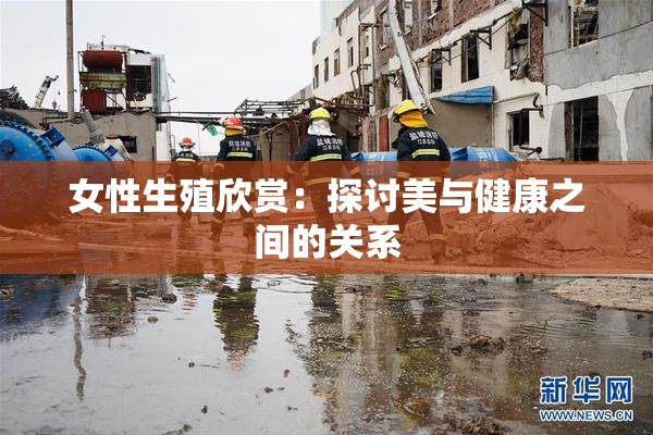 女性生殖欣赏：探讨美与健康之间的关系