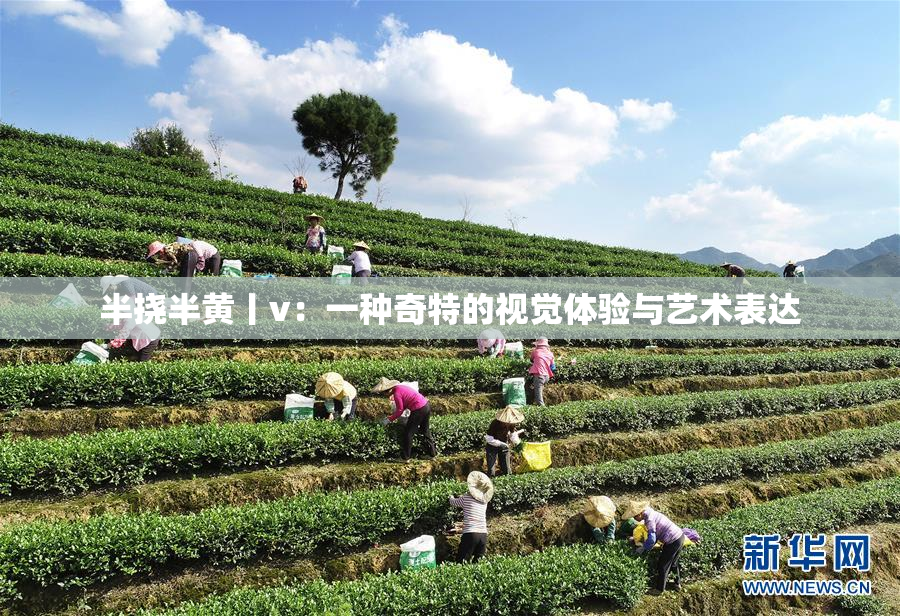 半挠半黄丨v：一种奇特的视觉体验与艺术表达