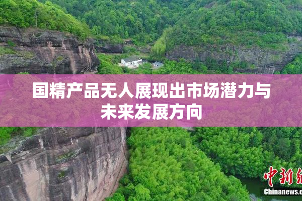 国精产品无人展现出市场潜力与未来发展方向