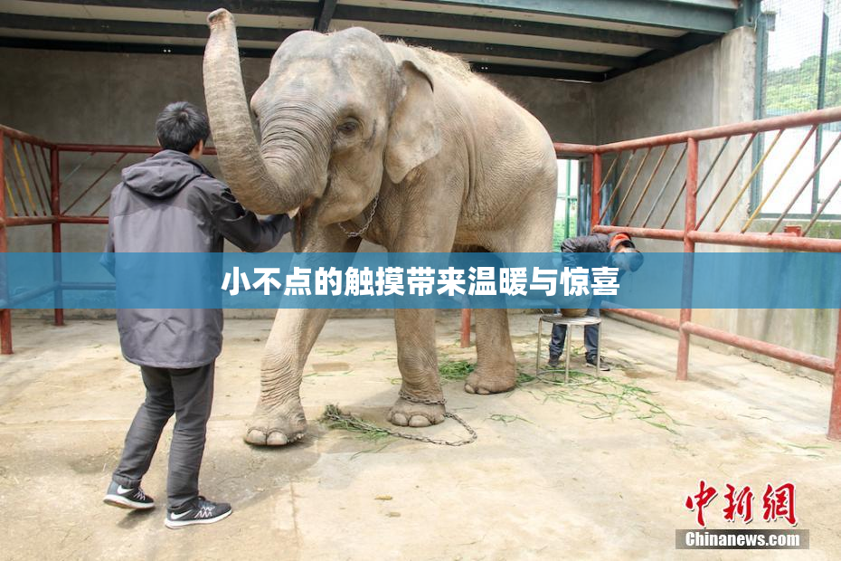 小不点的触摸带来温暖与惊喜