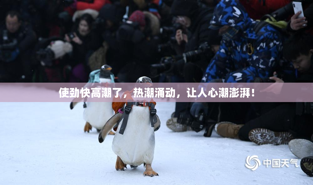 使劲快高潮了，热潮涌动，让人心潮澎湃！