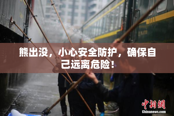 熊出没，小心安全防护，确保自己远离危险！