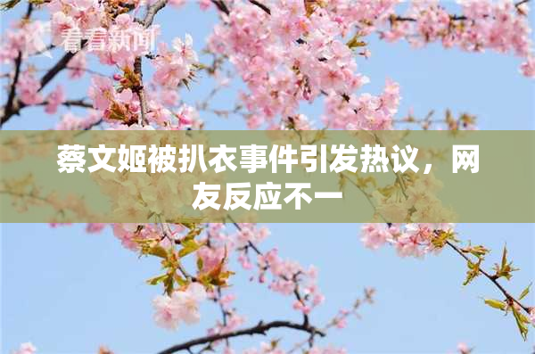 蔡文姬被扒衣事件引发热议，网友反应不一
