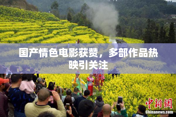 国产情色电影获赞，多部作品热映引关注