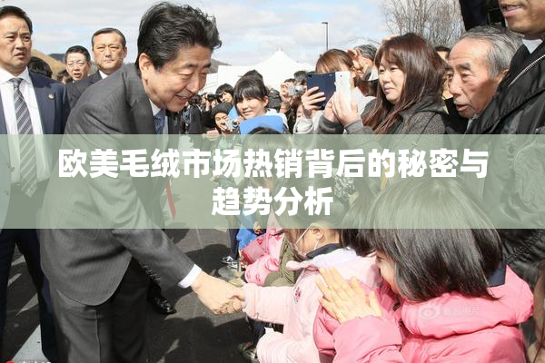欧美毛绒市场热销背后的秘密与趋势分析