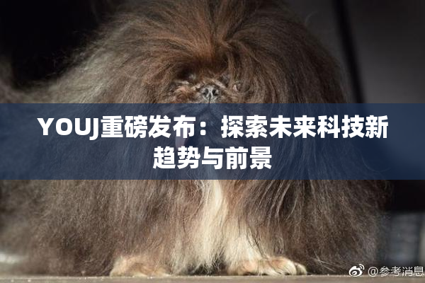 YOUJ重磅发布：探索未来科技新趋势与前景