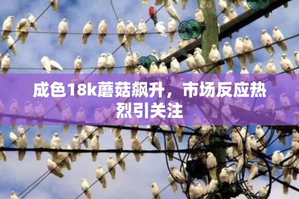 成色18k蘑菇飙升，市场反应热烈引关注