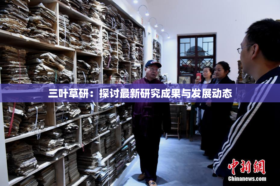 三叶草研：探讨最新研究成果与发展动态