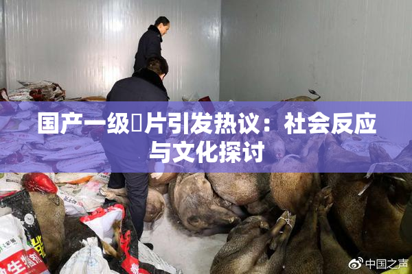 国产一级婬片引发热议：社会反应与文化探讨