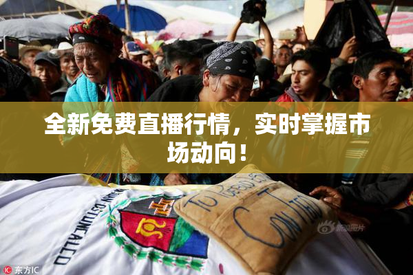 全新免费直播行情，实时掌握市场动向！
