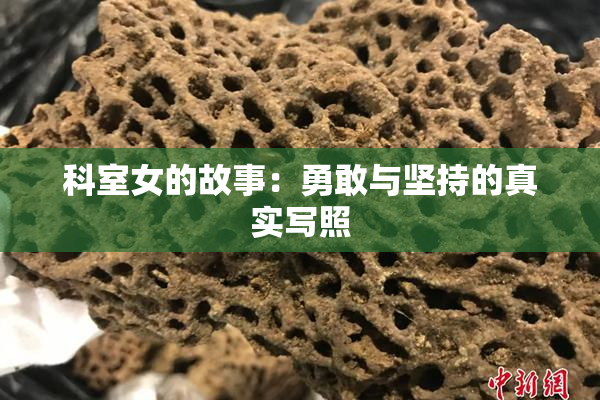 科室女的故事：勇敢与坚持的真实写照