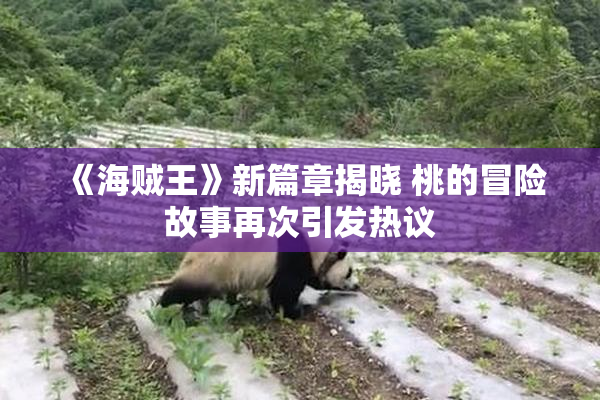 《海贼王》新篇章揭晓 桃的冒险故事再次引发热议