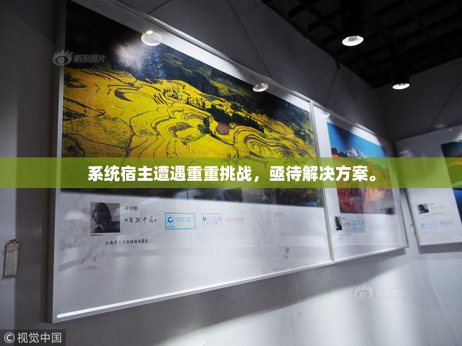 系统宿主遭遇重重挑战，亟待解决方案。