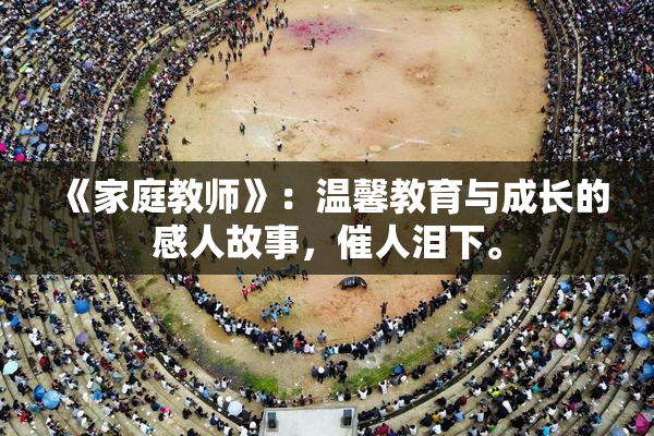 《家庭教师》：温馨教育与成长的感人故事，催人泪下。