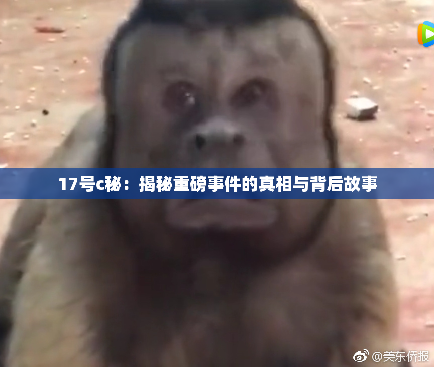 17号c秘：揭秘重磅事件的真相与背后故事