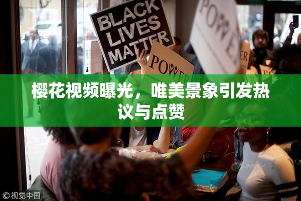 樱花视频曝光，唯美景象引发热议与点赞