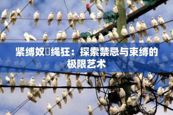紧缚奴隷绳狂：探索禁忌与束缚的极限艺术