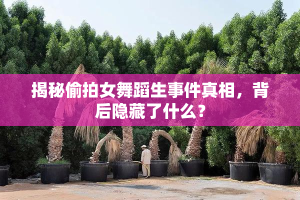 揭秘偷拍女舞蹈生事件真相，背后隐藏了什么？
