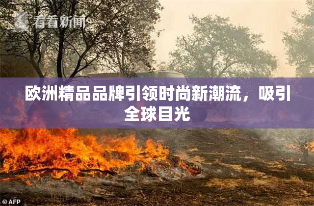 欧洲精品品牌引领时尚新潮流，吸引全球目光