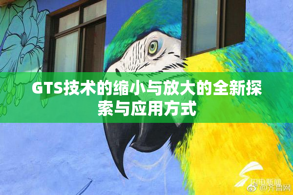 GTS技术的缩小与放大的全新探索与应用方式