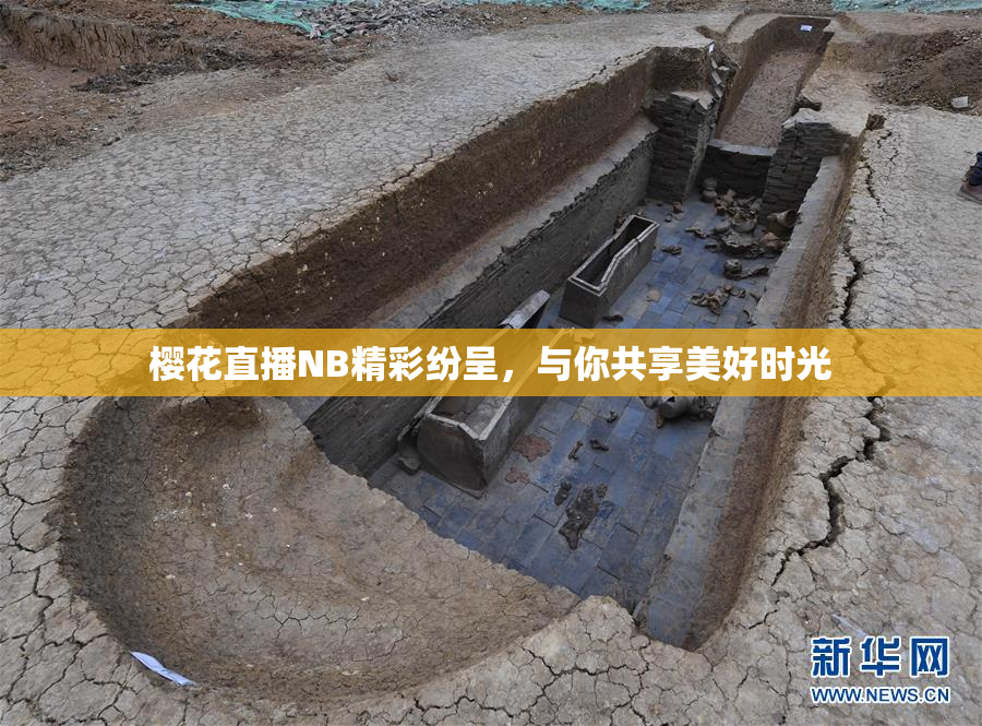 樱花直播NB精彩纷呈，与你共享美好时光