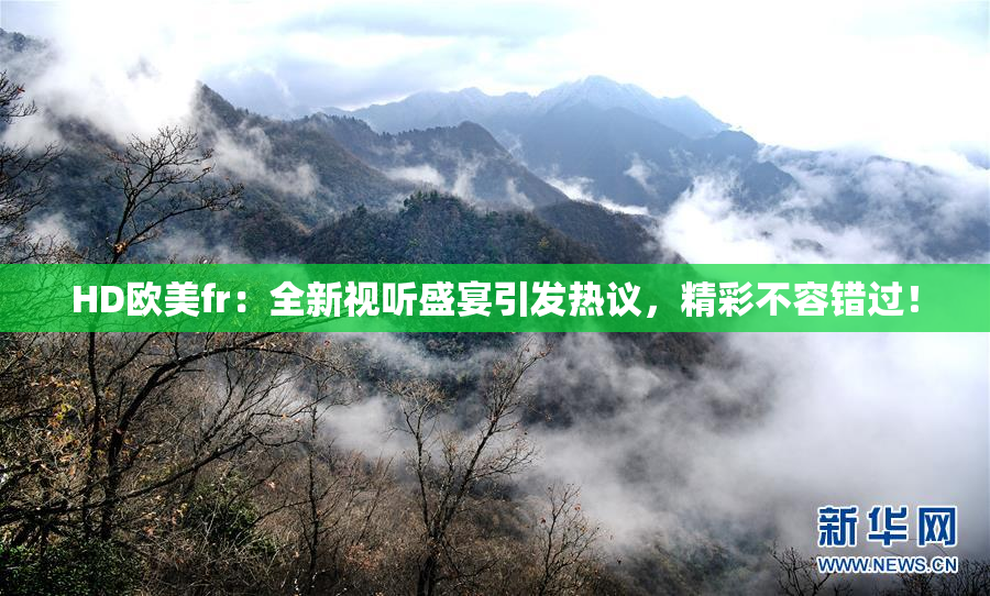 HD欧美fr：全新视听盛宴引发热议，精彩不容错过！