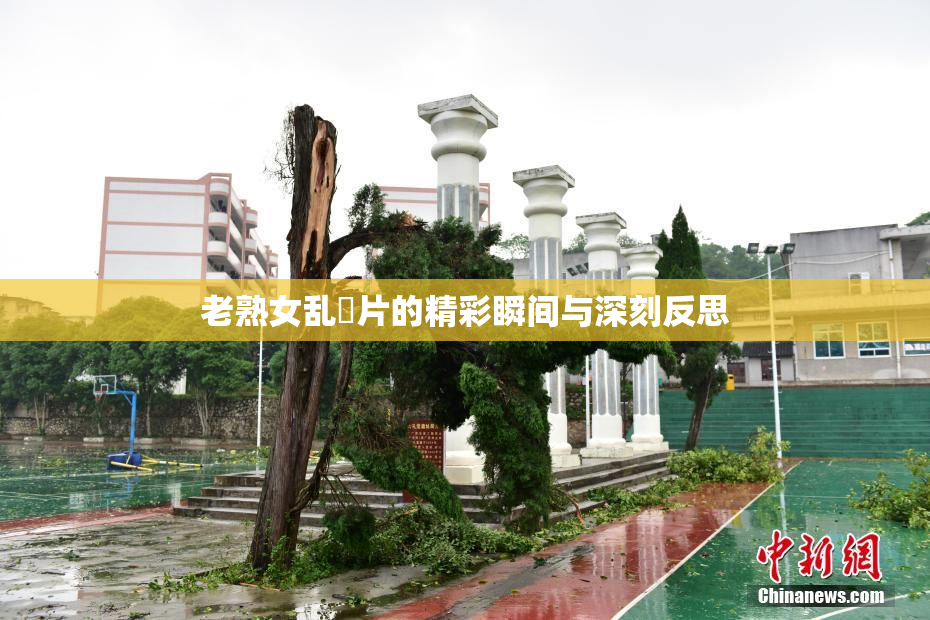 老熟女乱婬片的精彩瞬间与深刻反思