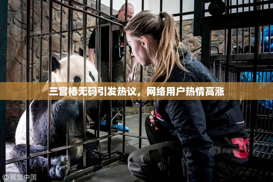 三宫椿无码引发热议，网络用户热情高涨