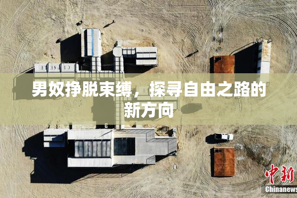 男奴挣脱束缚，探寻自由之路的新方向