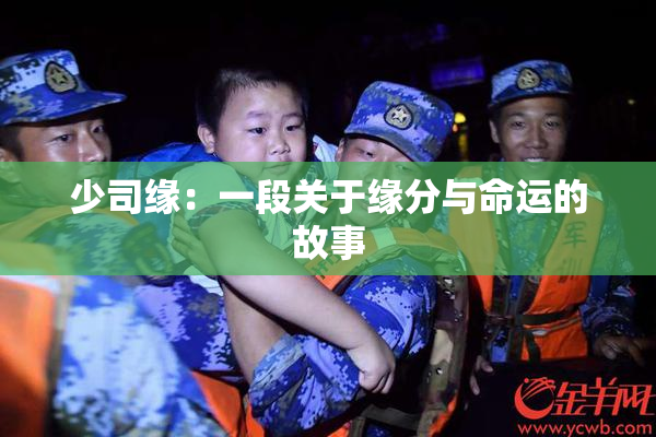 少司缘：一段关于缘分与命运的故事