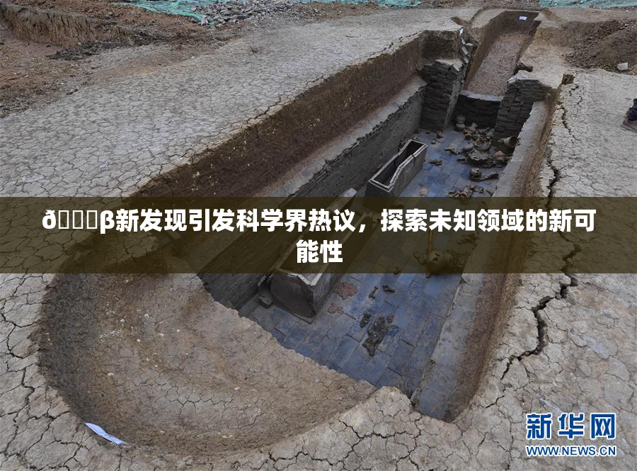 🔞β新发现引发科学界热议，探索未知领域的新可能性