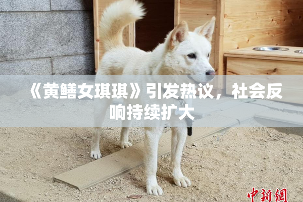 《黄鳝女琪琪》引发热议，社会反响持续扩大
