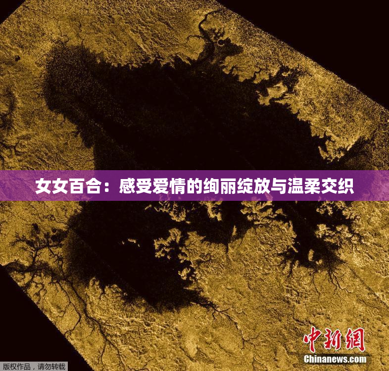 女女百合：感受爱情的绚丽绽放与温柔交织