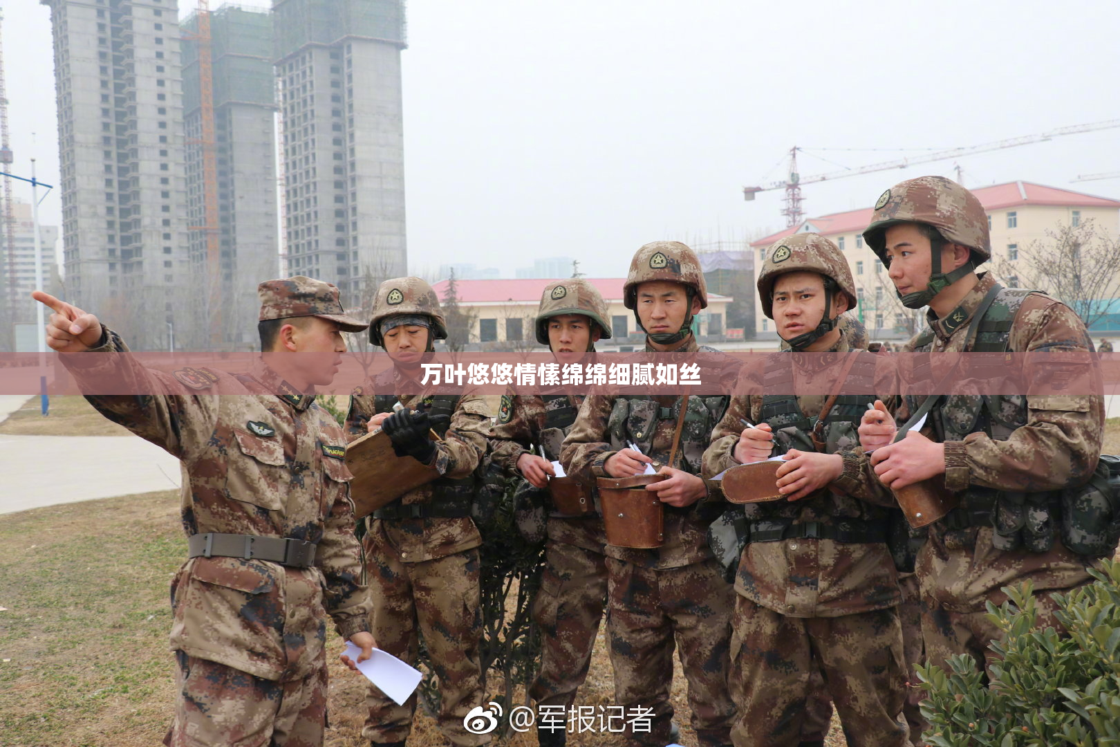 万叶悠悠情愫绵绵细腻如丝