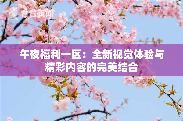 午夜福利一区：全新视觉体验与精彩内容的完美结合