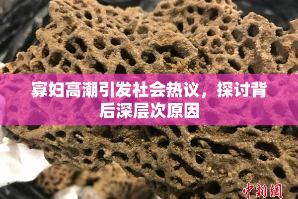 寡妇高潮引发社会热议，探讨背后深层次原因