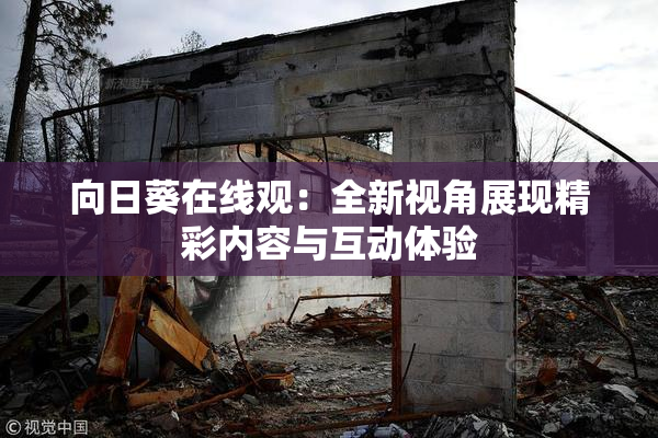 向日葵在线观：全新视角展现精彩内容与互动体验