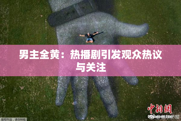男主全黄：热播剧引发观众热议与关注