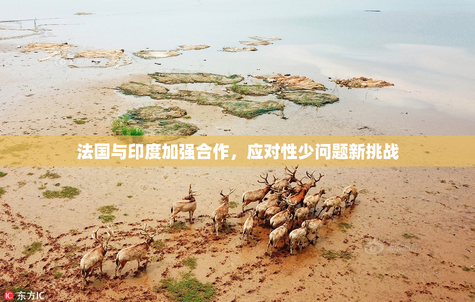 法国与印度加强合作，应对性少问题新挑战