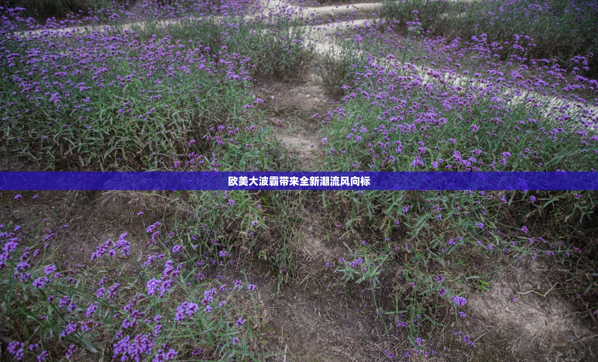 欧美大波霸带来全新潮流风向标