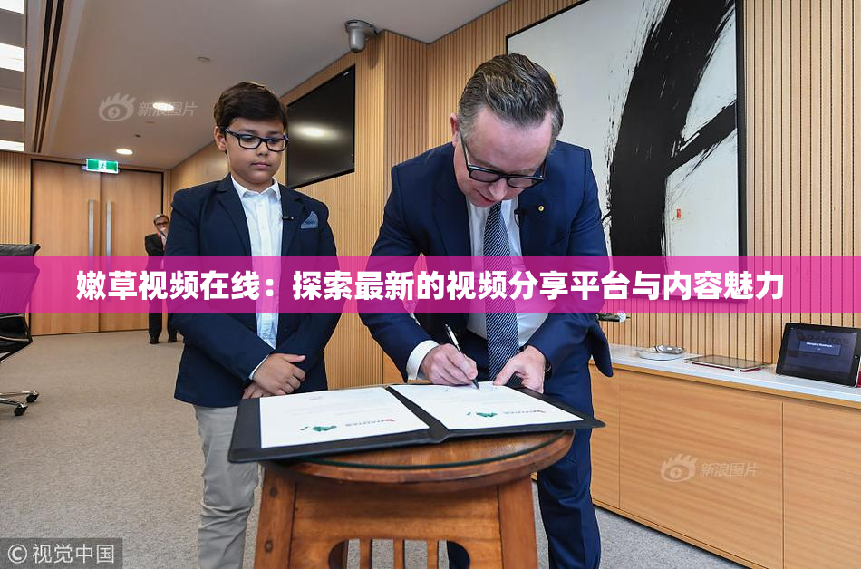嫩草视频在线：探索最新的视频分享平台与内容魅力