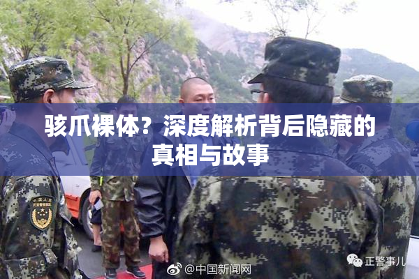 骇爪裸体？深度解析背后隐藏的真相与故事