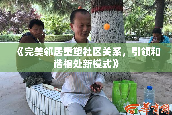 《完美邻居重塑社区关系，引领和谐相处新模式》