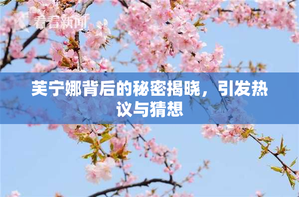 芙宁娜背后的秘密揭晓，引发热议与猜想