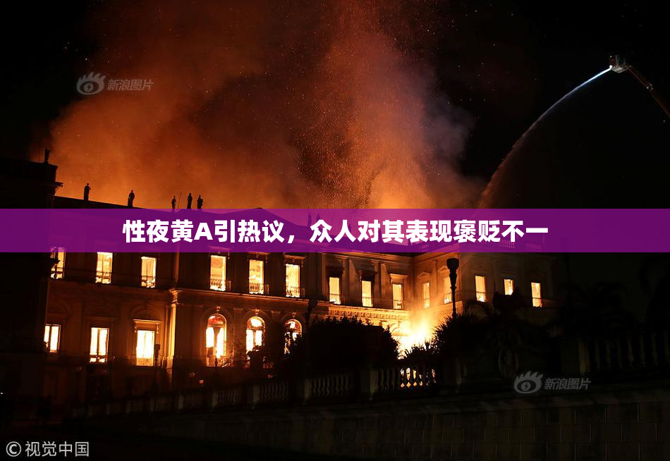 性夜黄A引热议，众人对其表现褒贬不一